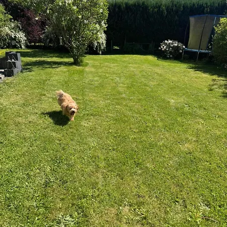 Eifelsuiten - Family & Pet Retreat Apartament