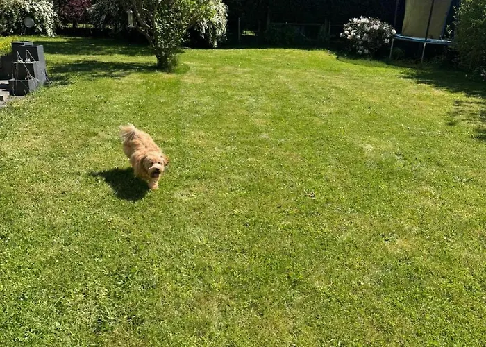 Eifelsuiten - Family & Pet Retreat 公寓